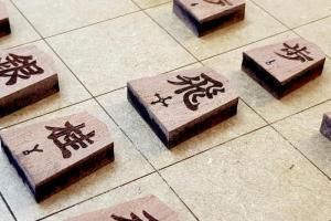 Shogi Oficial