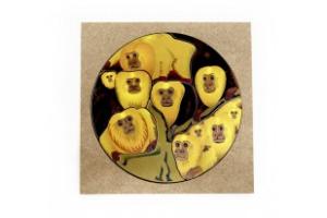 Quebra Cabeça Mico Leão Quebra Cabeça Mico Leão