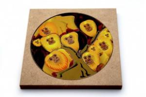 Quebra Cabeça Mico Leão Quebra Cabeça Mico Leão