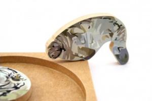 Quebra Cabeça Peixe Boi Quebra Cabeça Peixe Boi